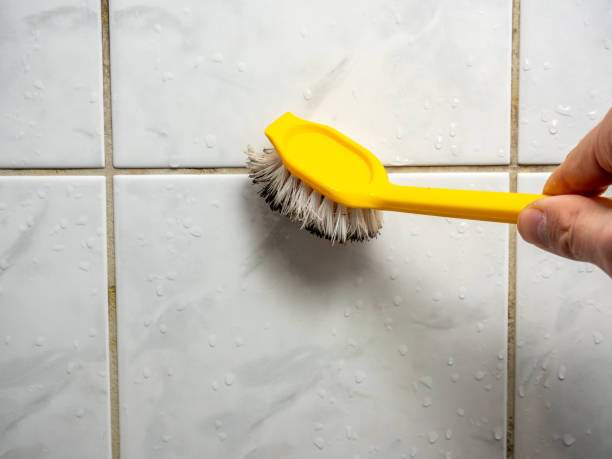 Best Mold Cleaning Services  in Cass City, MI